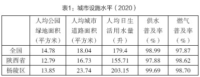 表1：城市设施水平（2020）